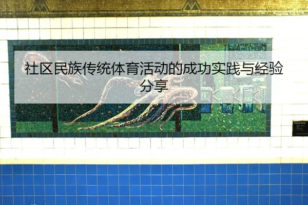 社区民族传统体育活动的成功实践与经验分享